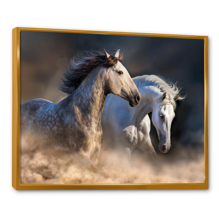 Horses run in dust
