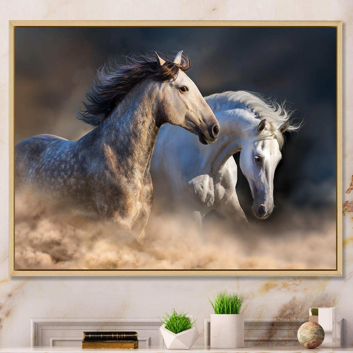Horses run in dust