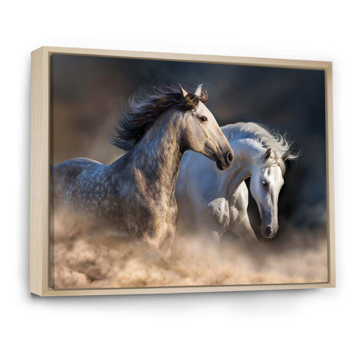 Horses run in dust