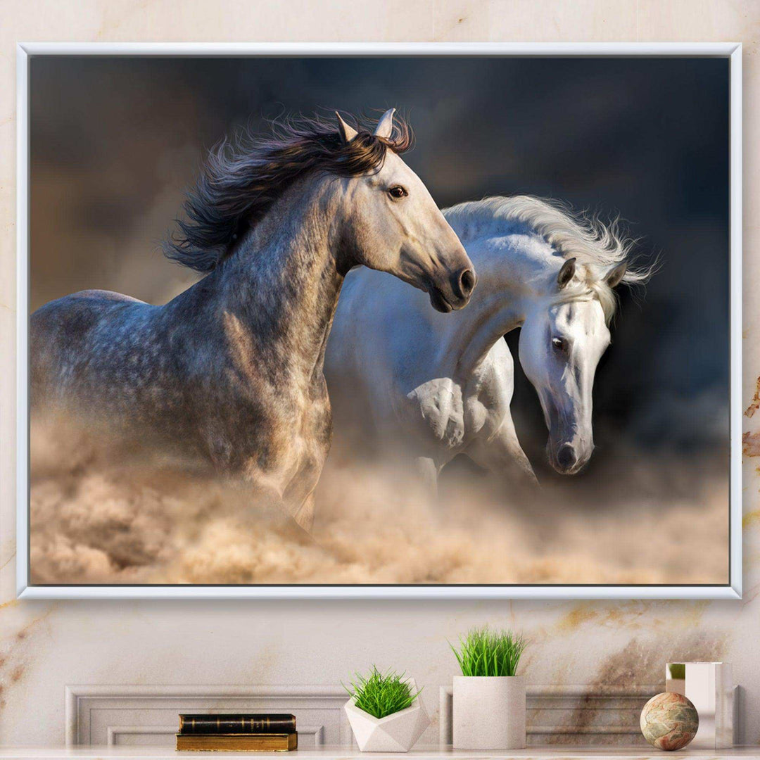 Horses run in dust
