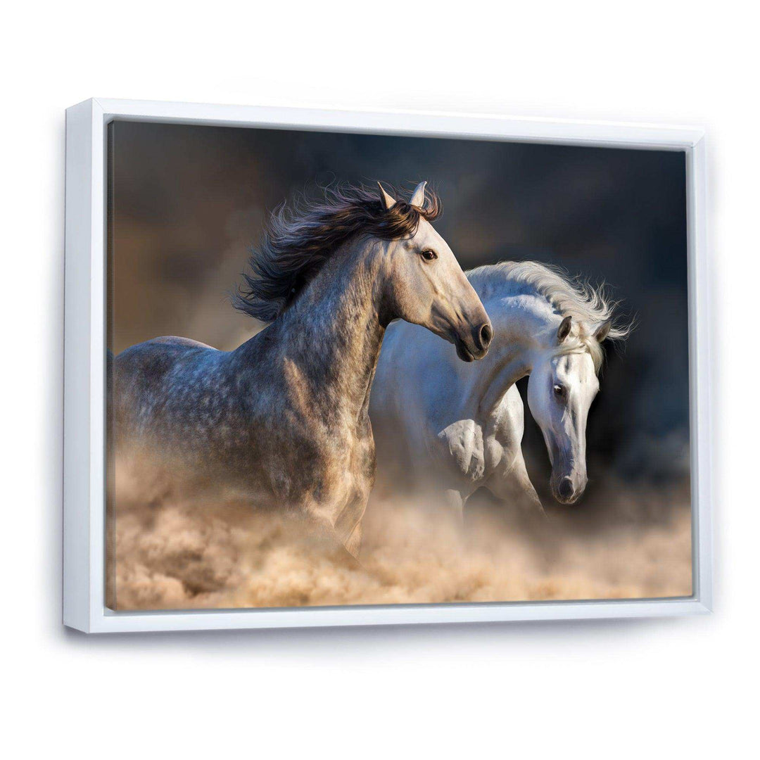 Horses run in dust