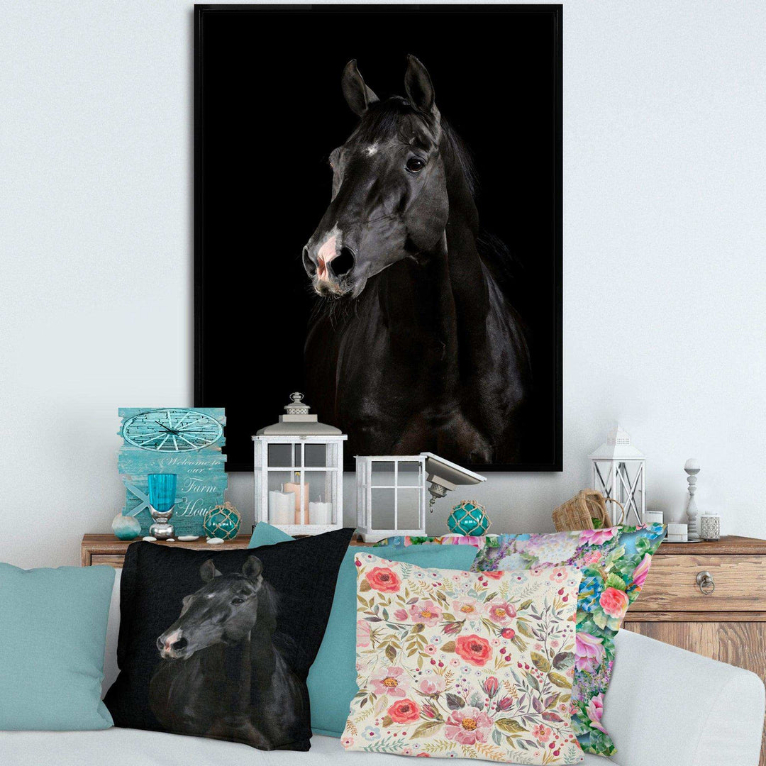 Black horse in darkness