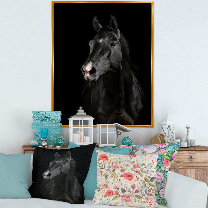 Black horse in darkness