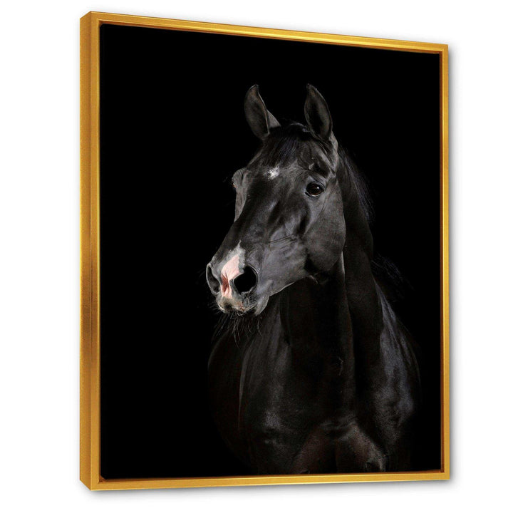 Black horse in darkness
