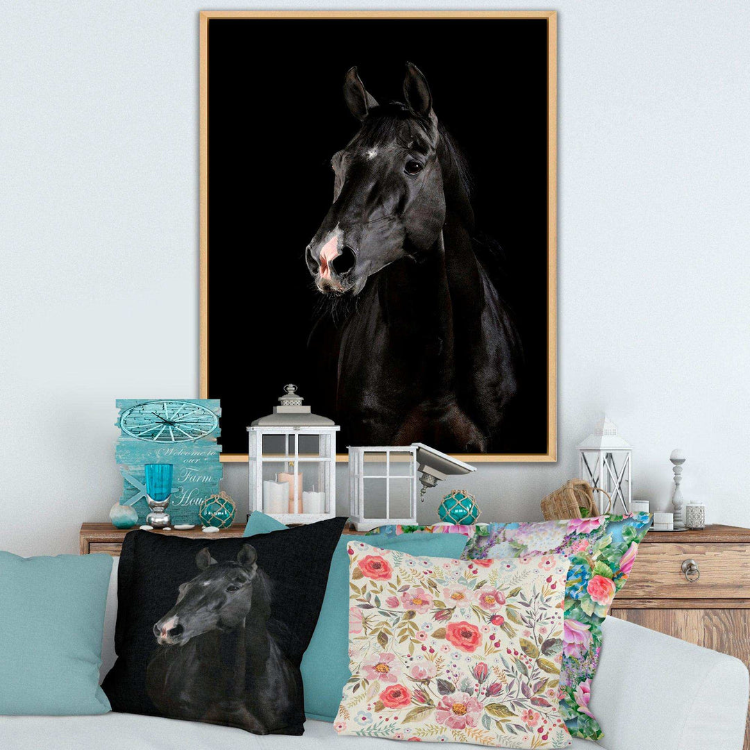 Black horse in darkness