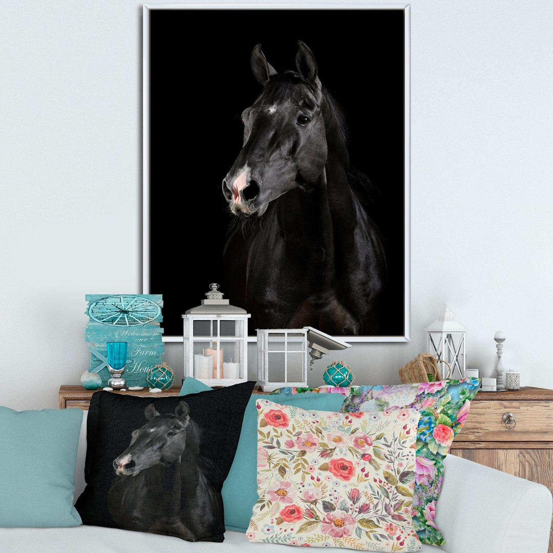 Black horse in darkness