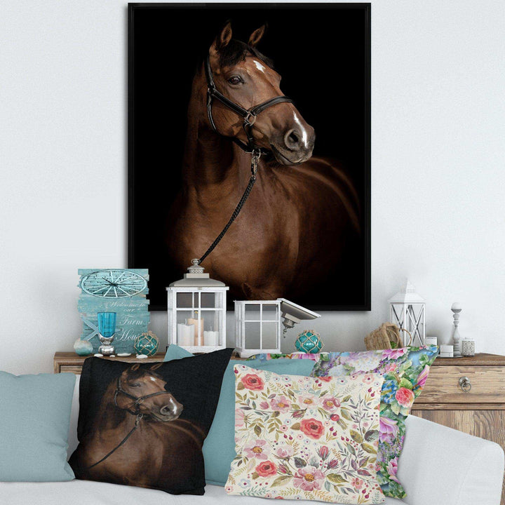 Horse Portrait