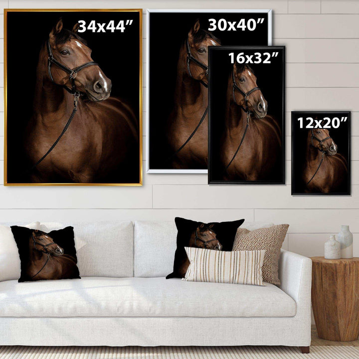 Horse Portrait