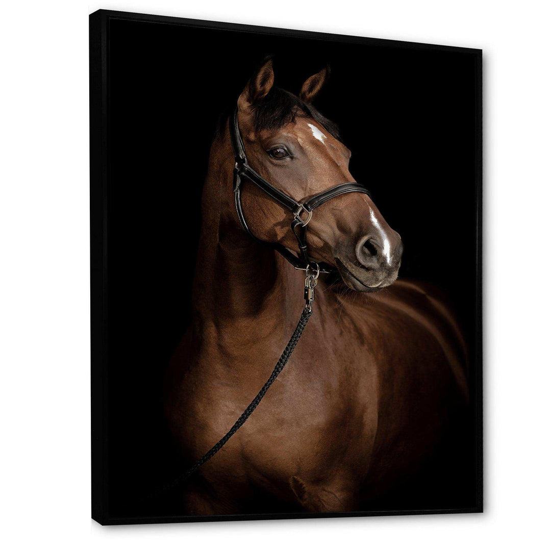 Horse Portrait