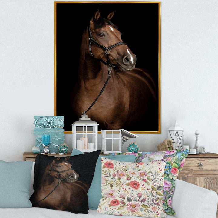 Horse Portrait