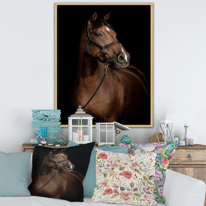 Horse Portrait