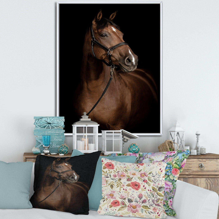 Horse Portrait