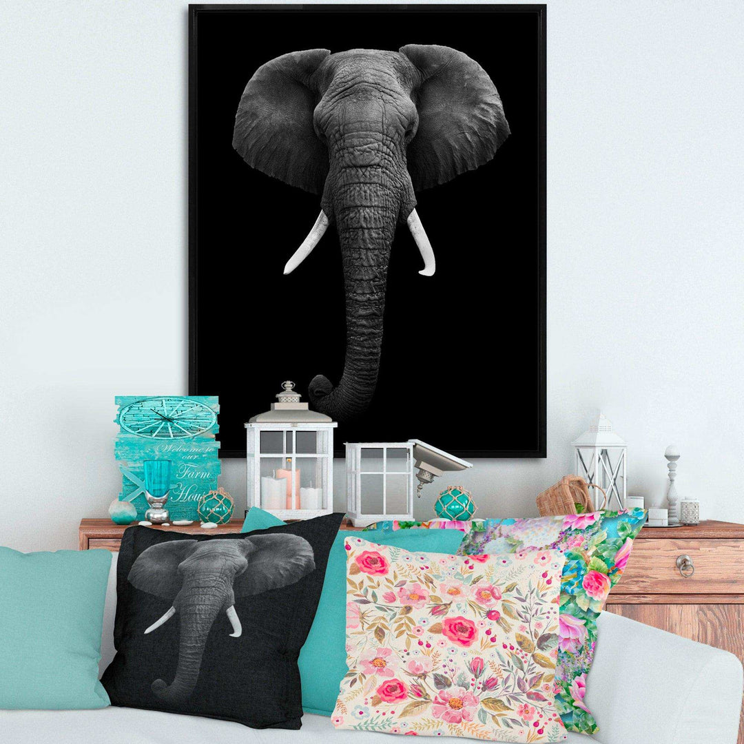African Elephant
