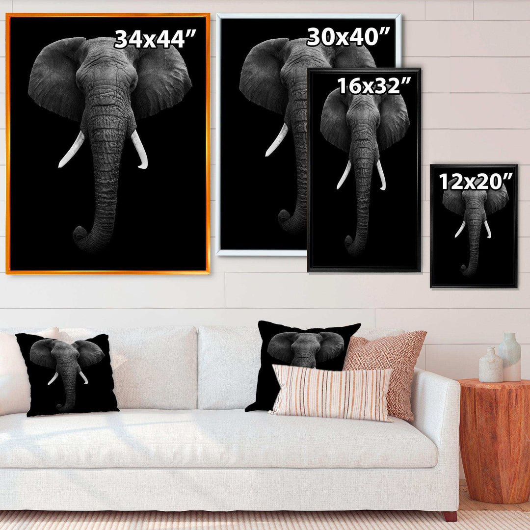 African Elephant