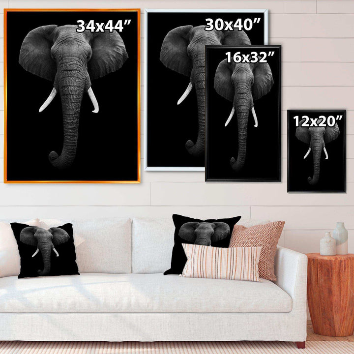 African Elephant
