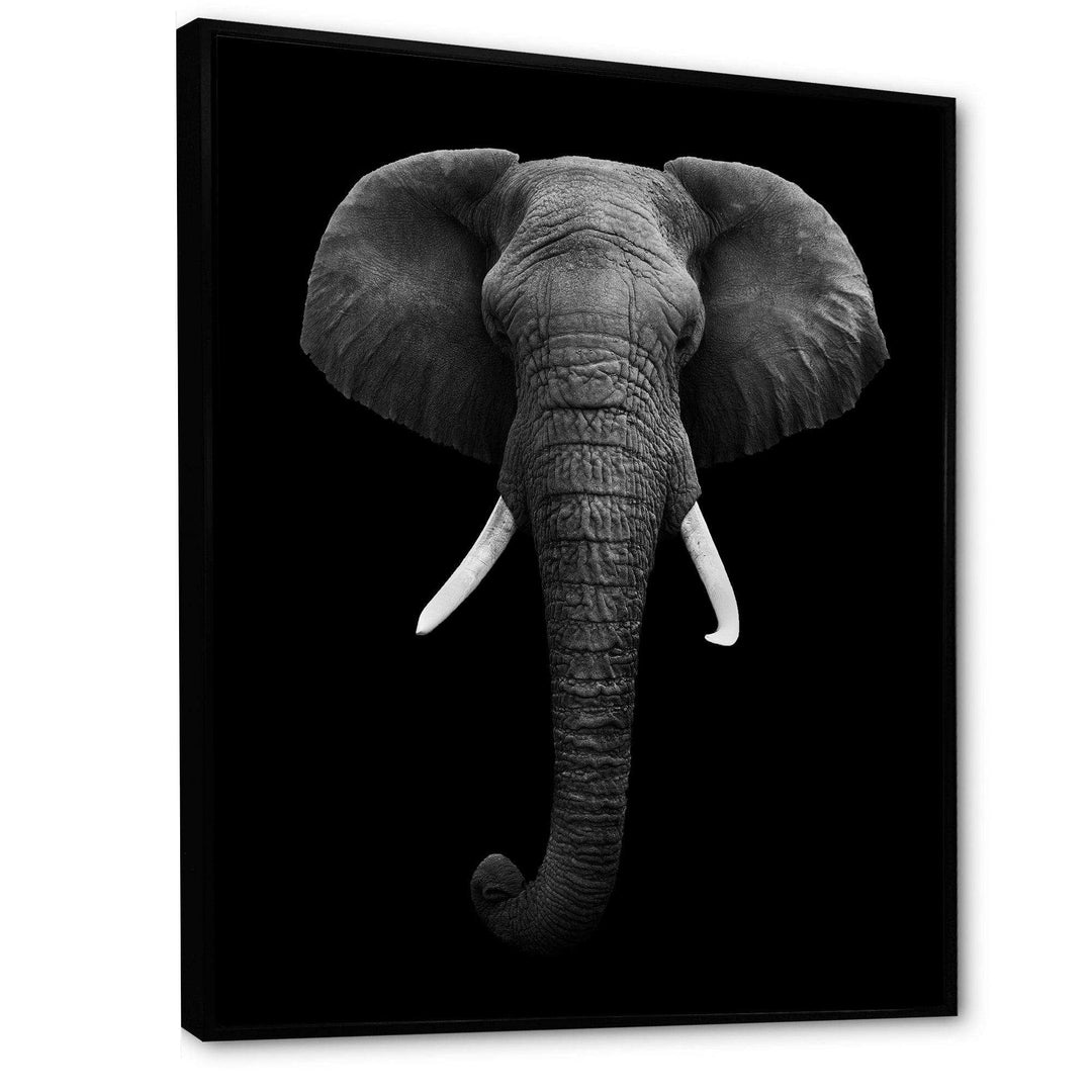 African Elephant
