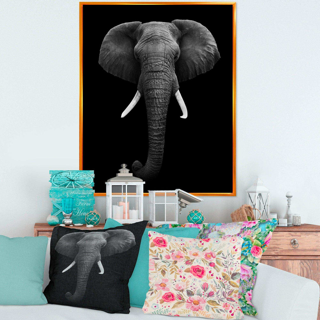African Elephant