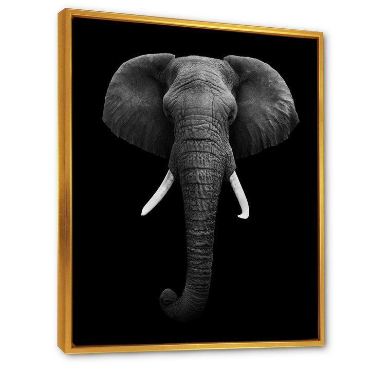 African Elephant