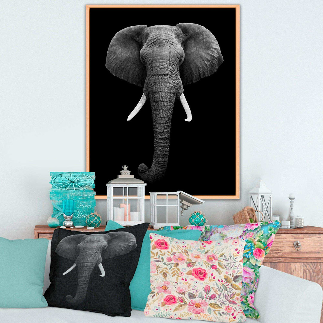 African Elephant
