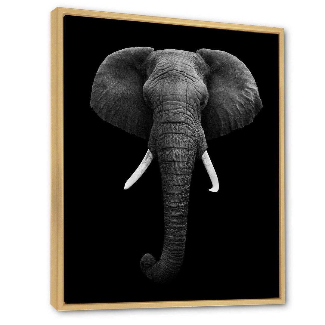 African Elephant