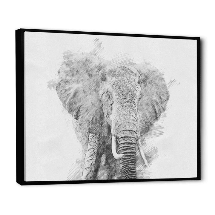 Black and White Elephant Sketch - Traditional Living Room Wall Decor