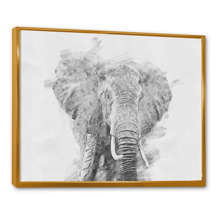 Black and White Elephant Sketch - Traditional Living Room Wall Decor