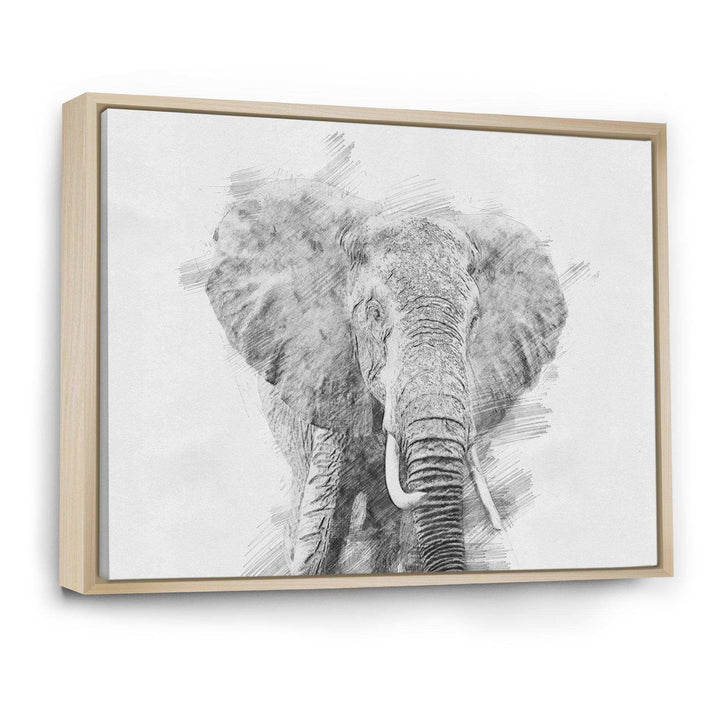 Black and White Elephant Sketch - Traditional Living Room Wall Decor