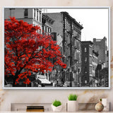 Red Tree on Black and White New York City Street