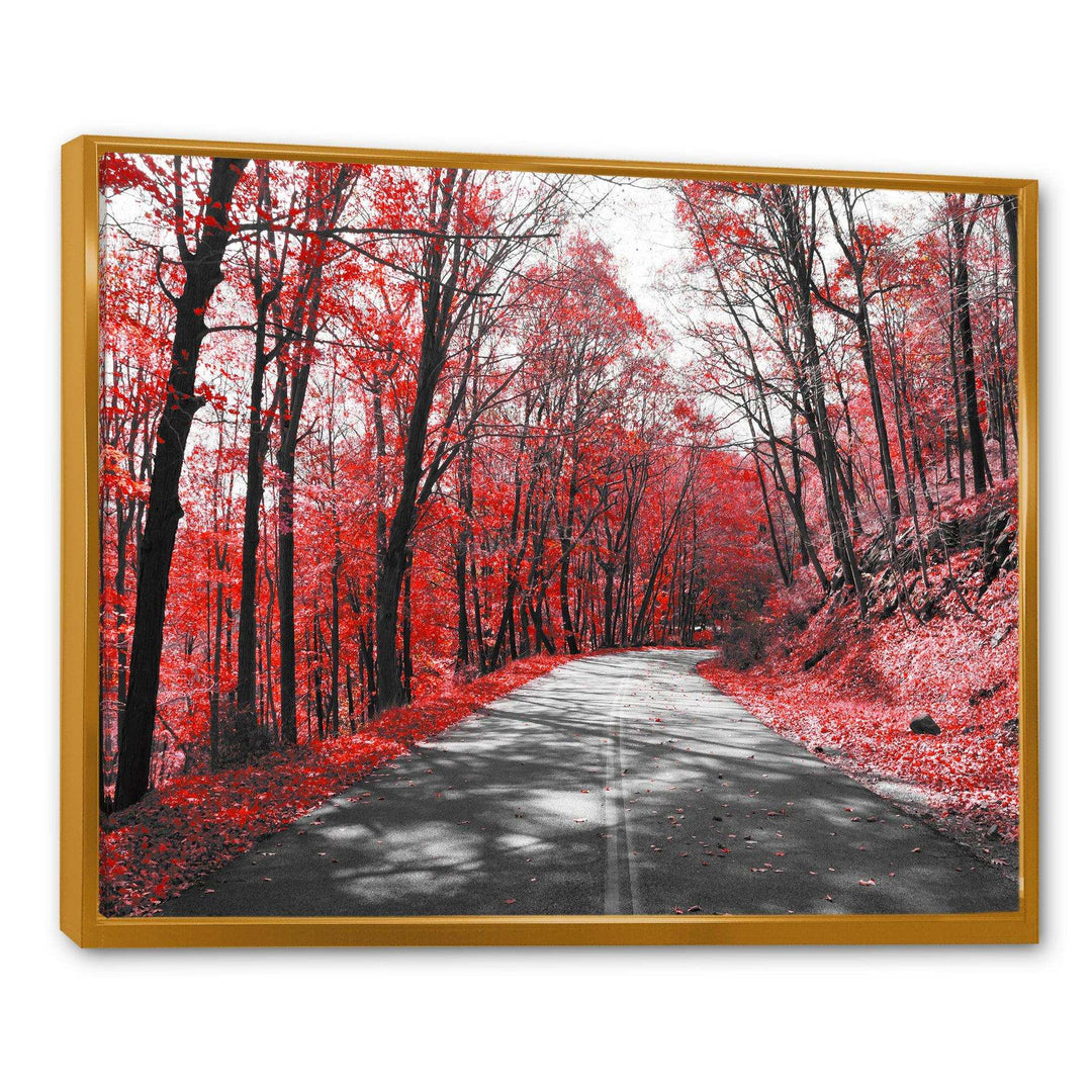 Patch in Red Forest