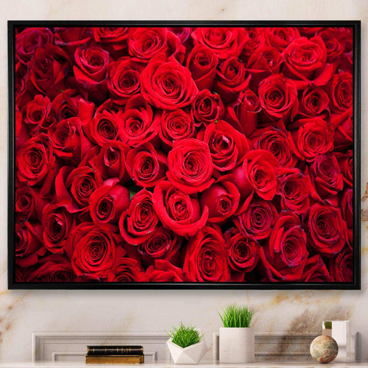 Winter Red Rose