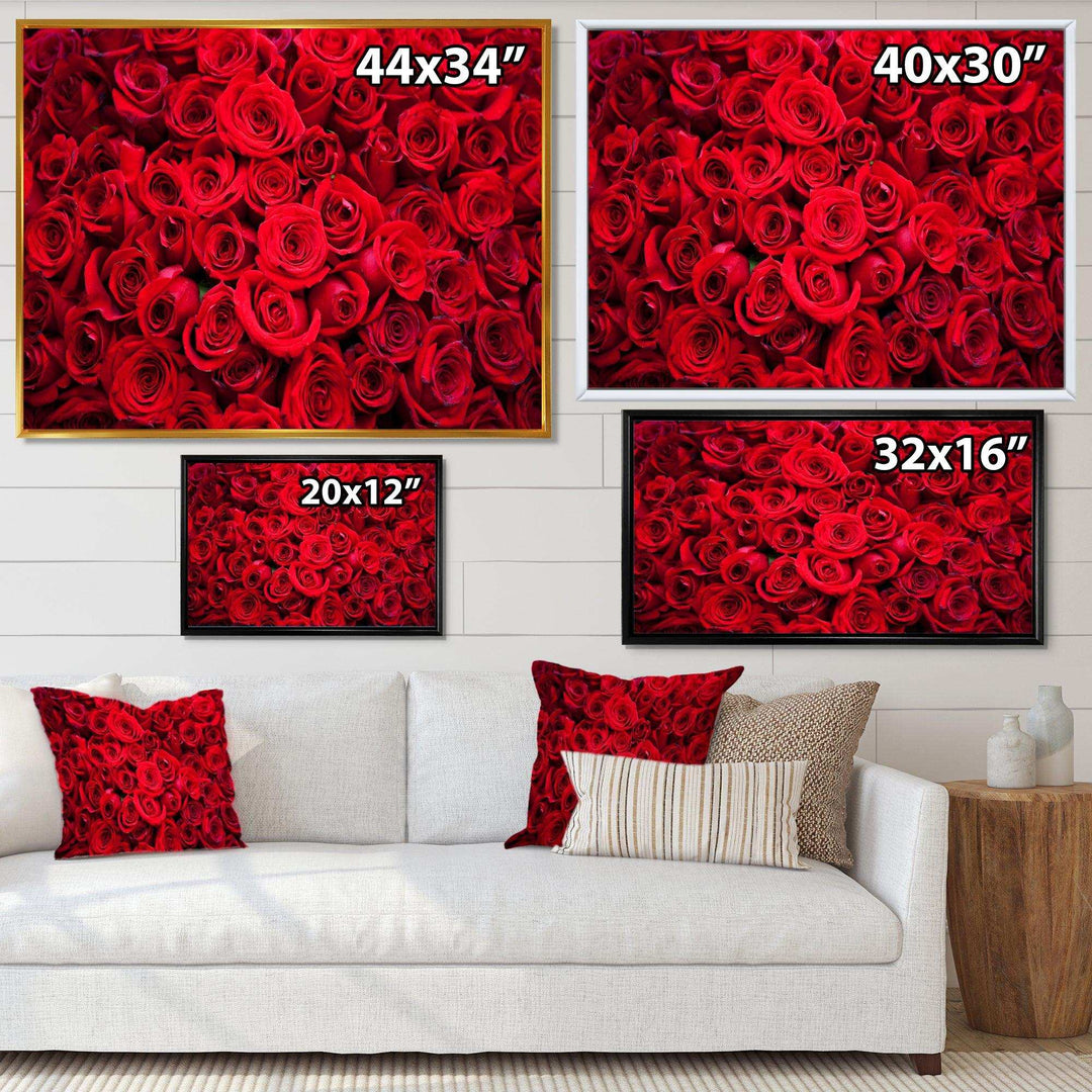 Winter Red Rose
