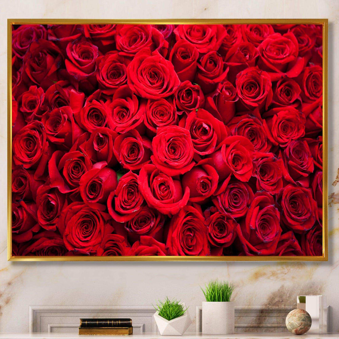 Winter Red Rose