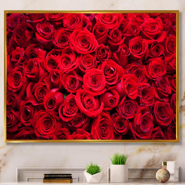 Winter Red Rose