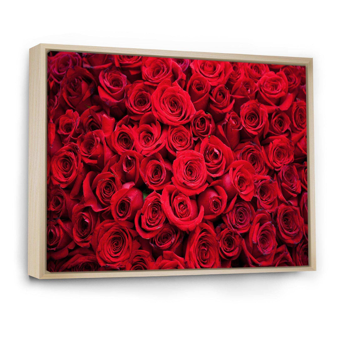 Winter Red Rose