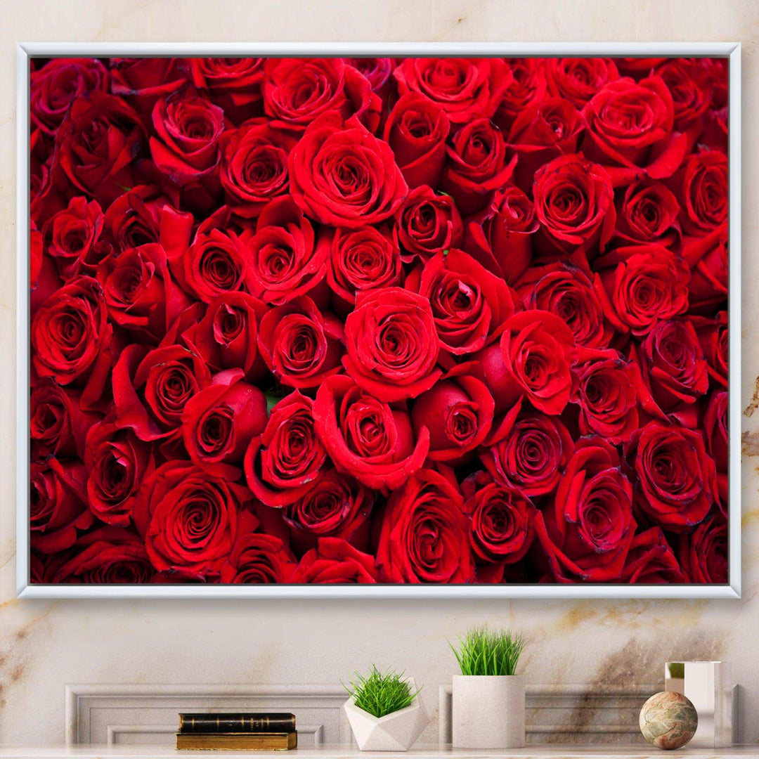 Winter Red Rose