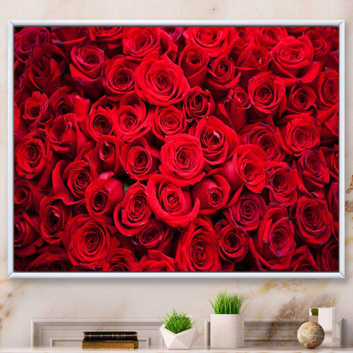 Winter Red Rose