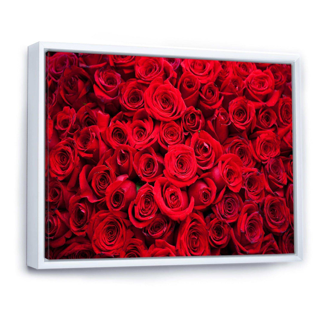 Winter Red Rose