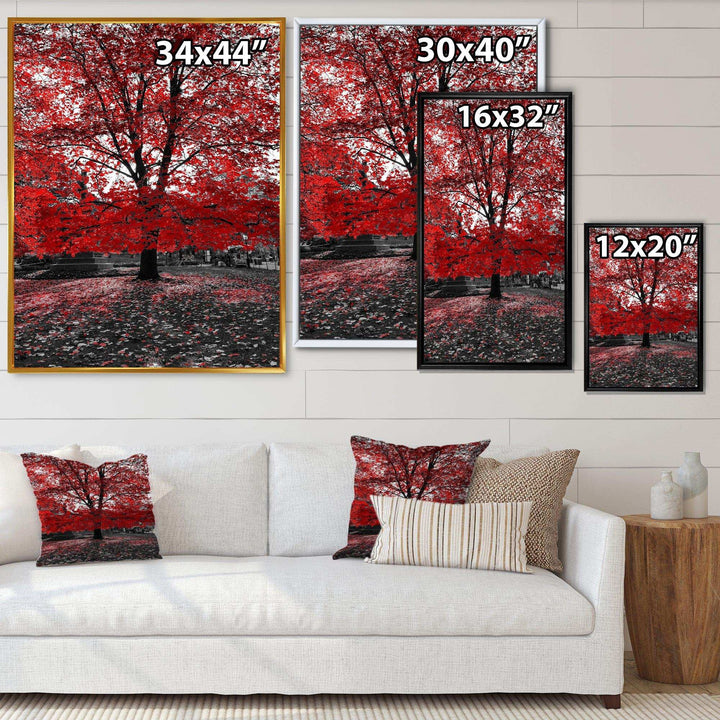 Red Tree in Central Park