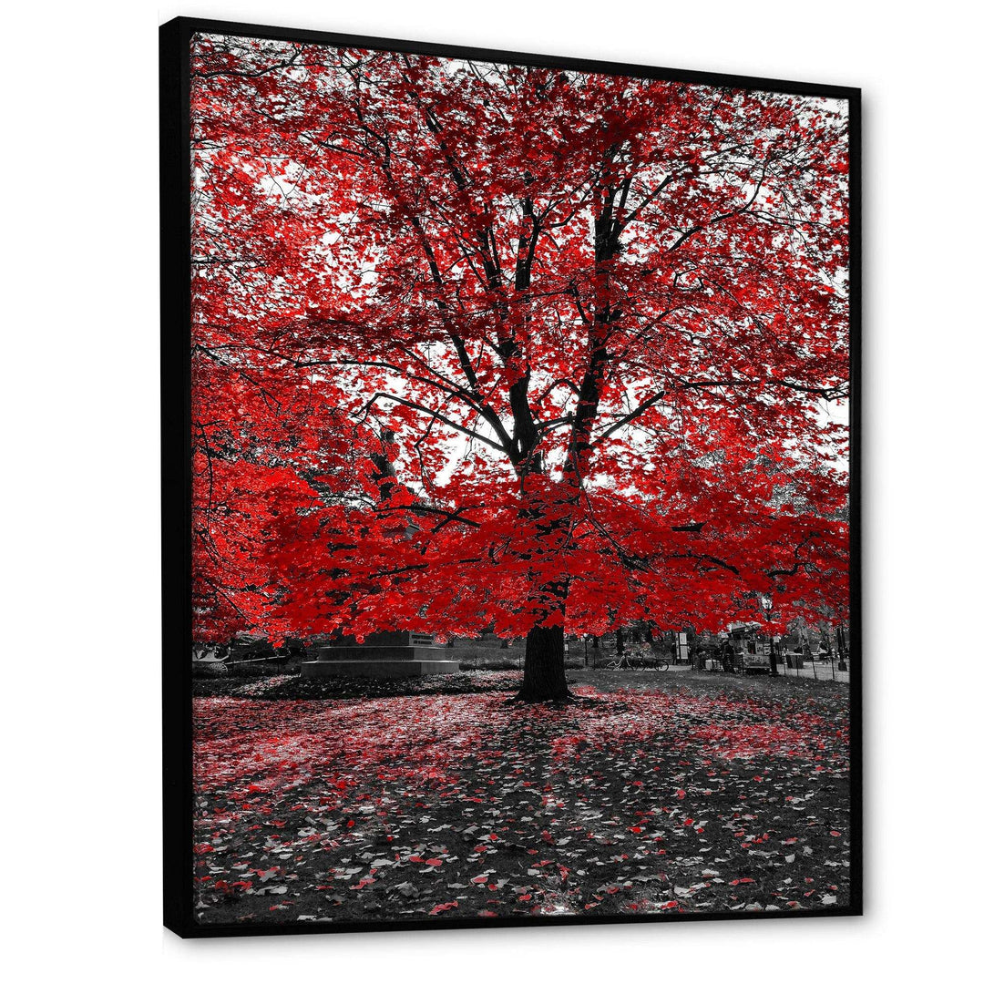 Red Tree in Central Park