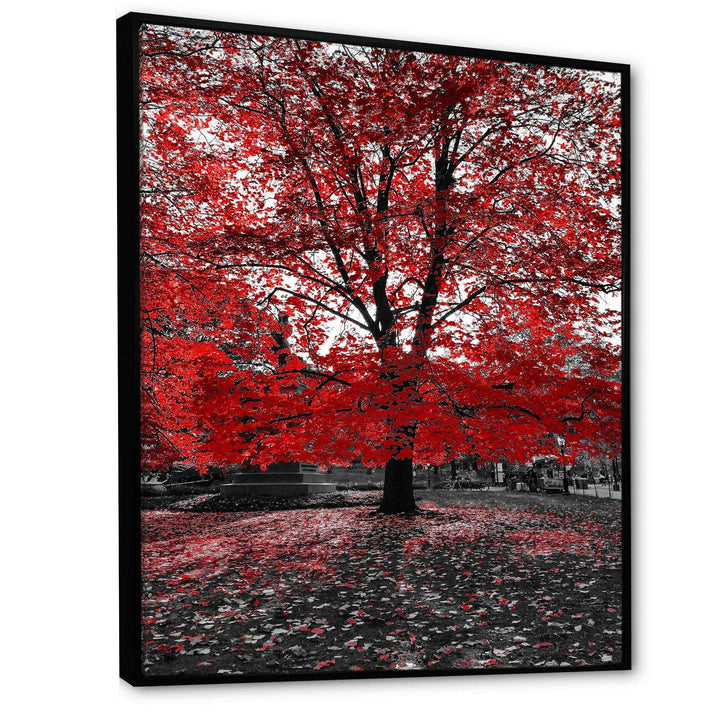 Red Tree in Central Park