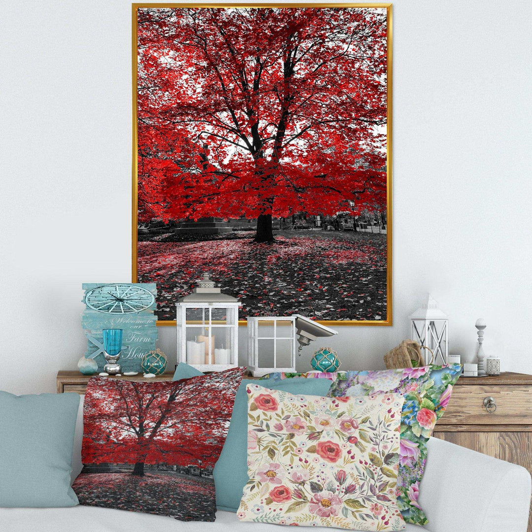Red Tree in Central Park