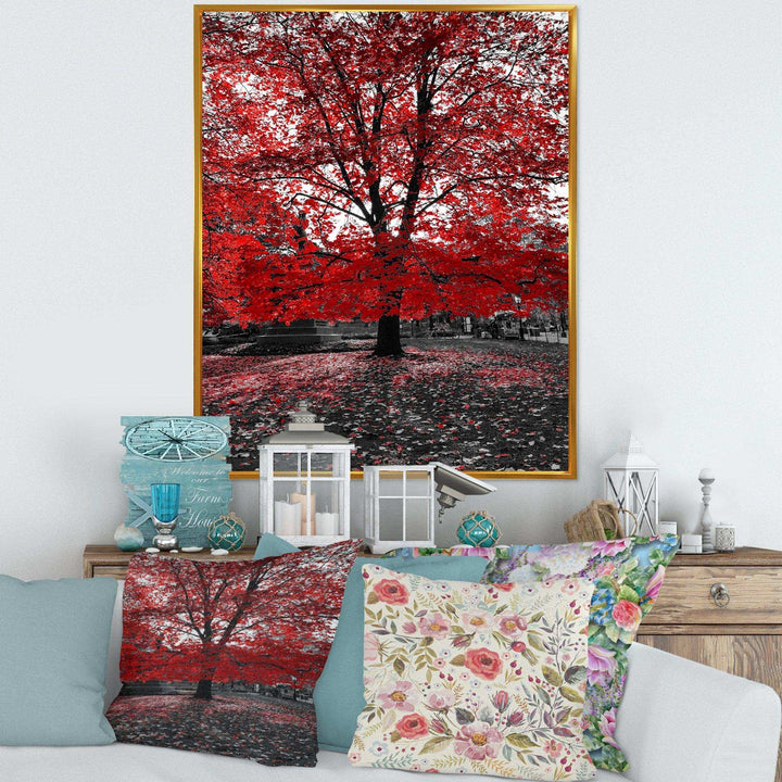 Red Tree in Central Park