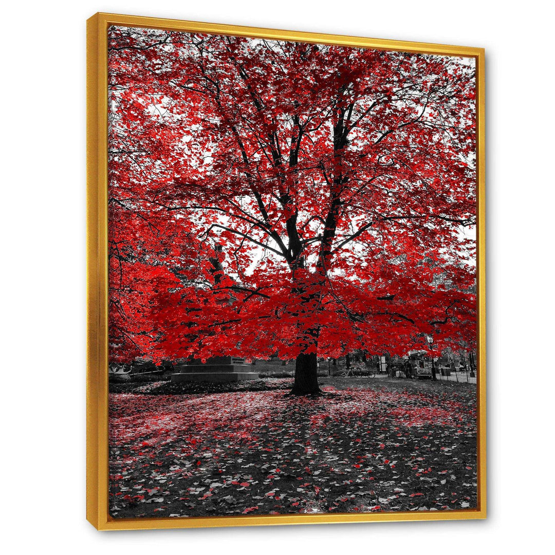 Red Tree in Central Park