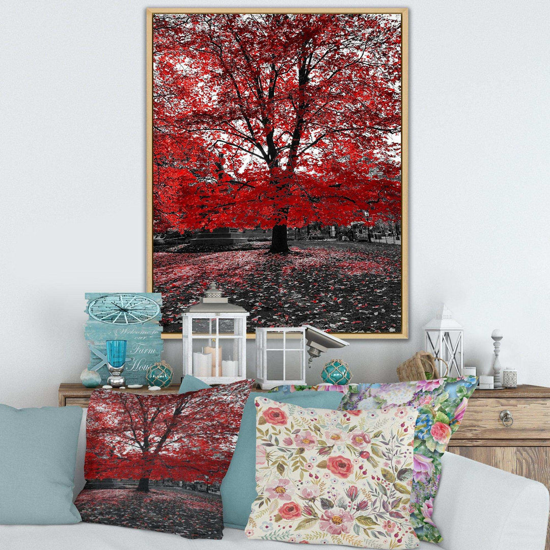 Red Tree in Central Park