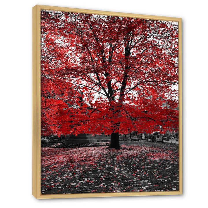 Red Tree in Central Park