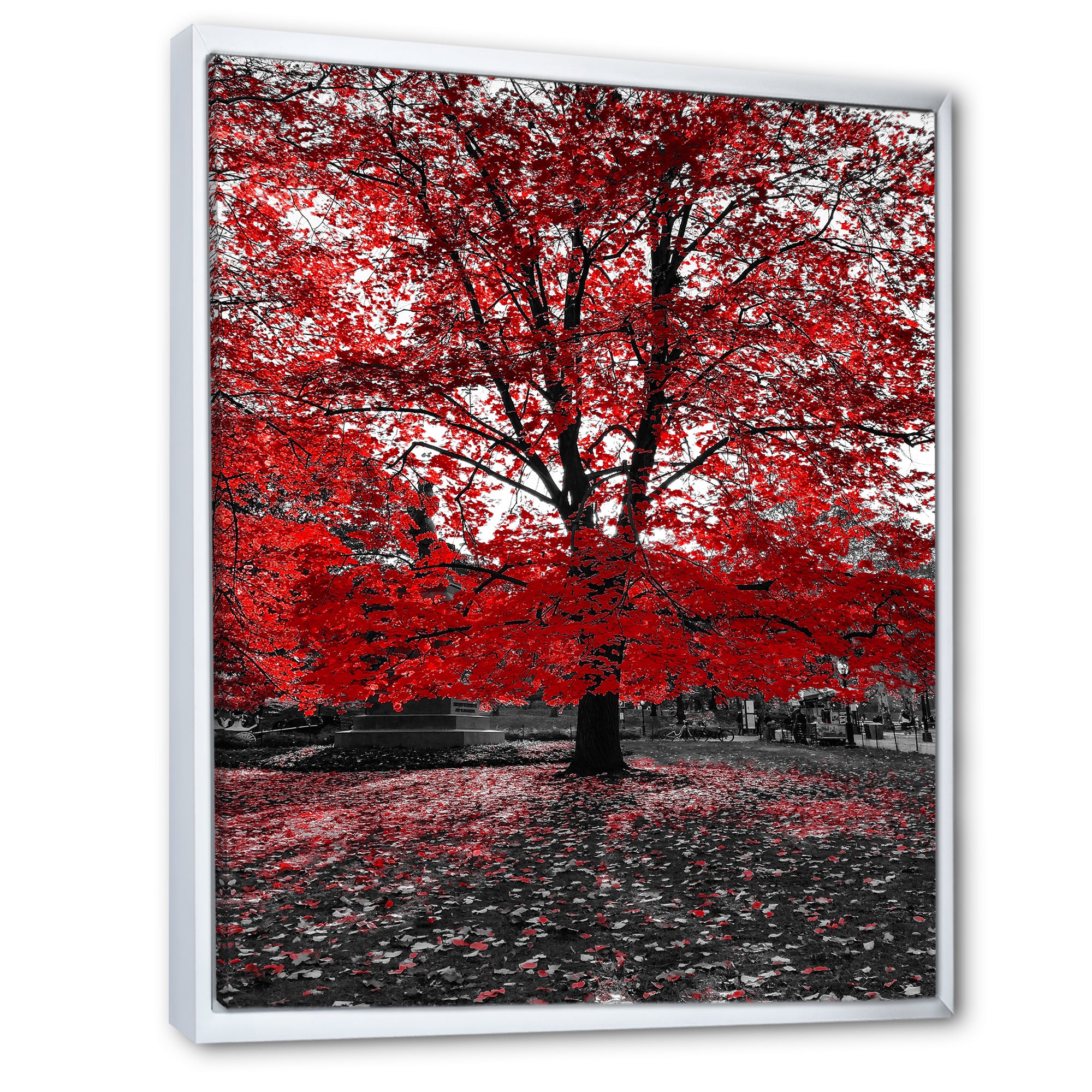 Red Tree in Central Park