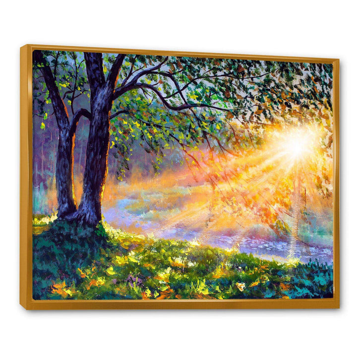 Dawn Sunshine Light By The River