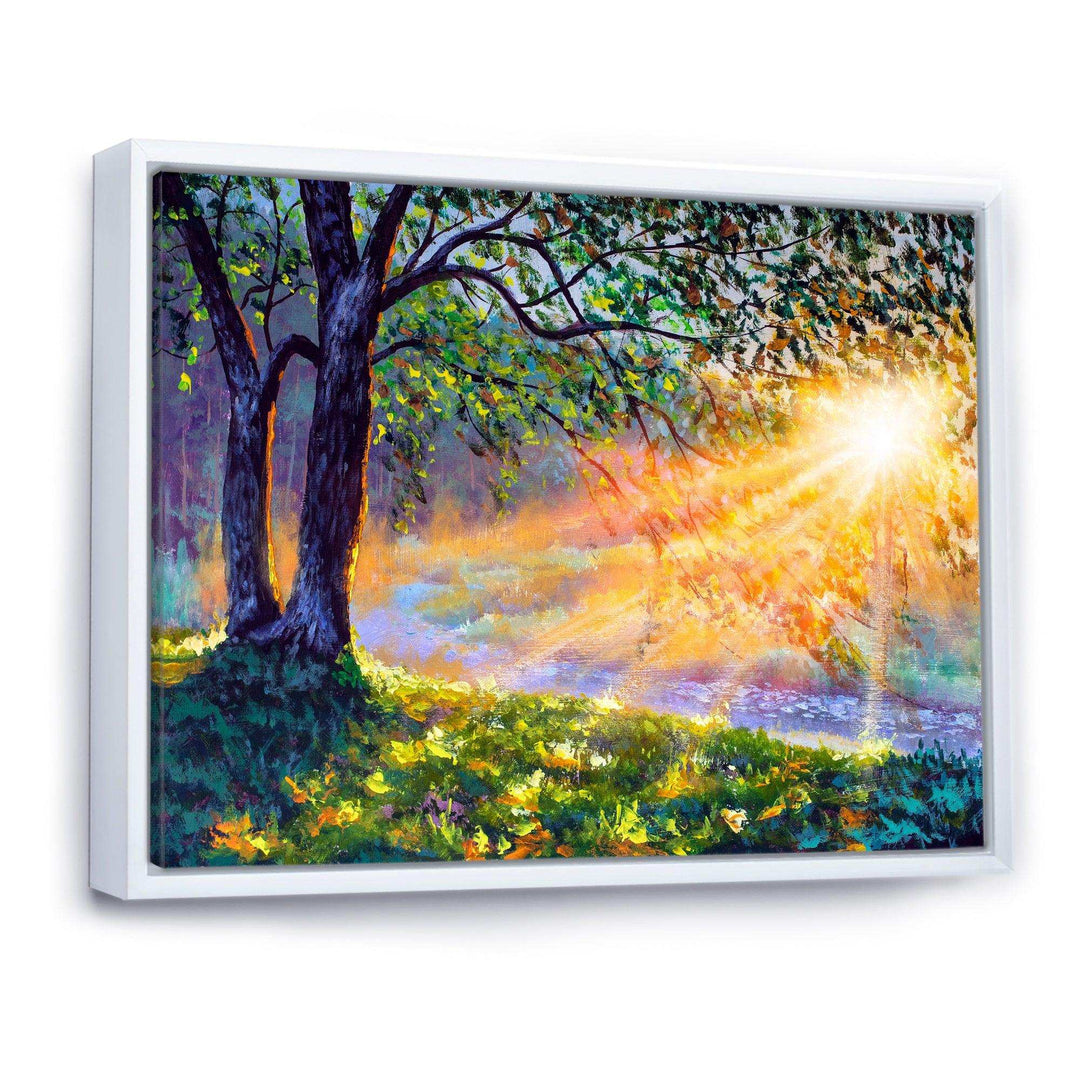 Dawn Sunshine Light By The River