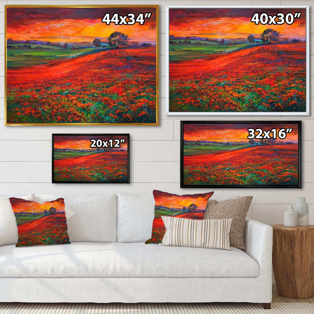 Blossoming Poppy Fields During Summer Sunset