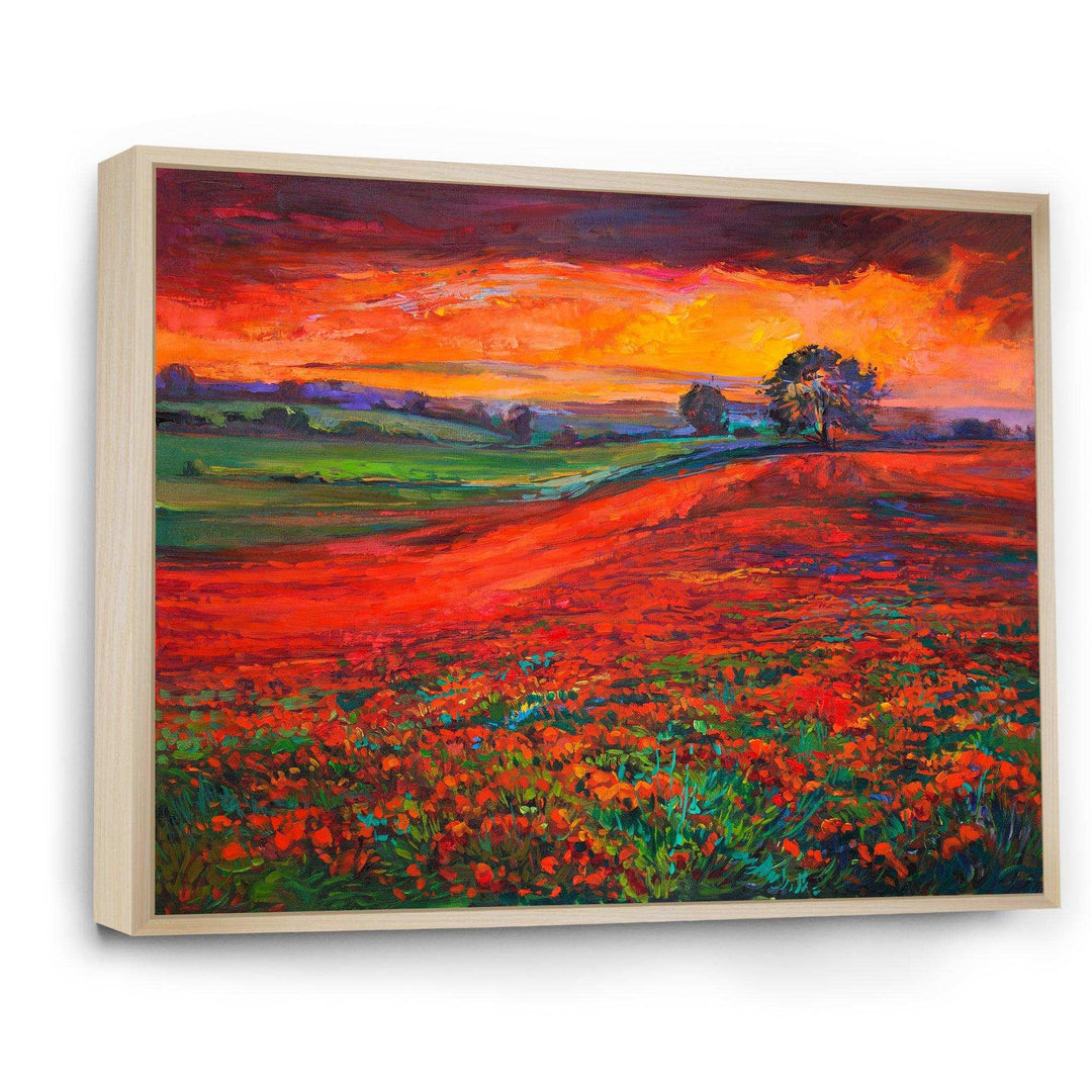 Blossoming Poppy Fields During Summer Sunset